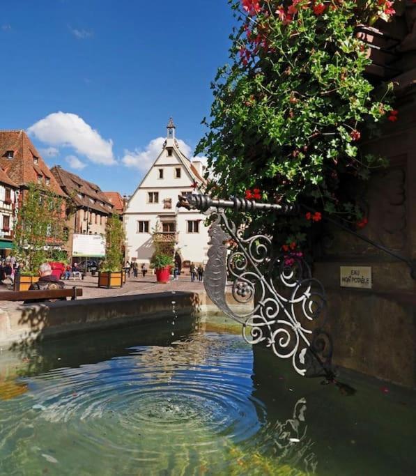 L'Appar'T - Centre Historique De Obernai Apartment ภายนอก รูปภาพ