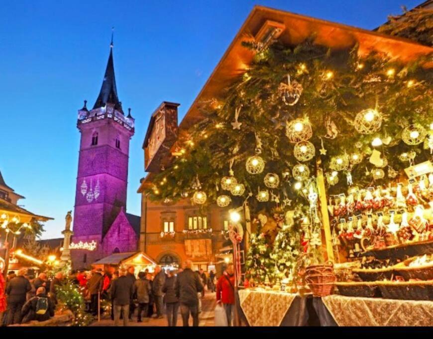 L'Appar'T - Centre Historique De Obernai Apartment ภายนอก รูปภาพ