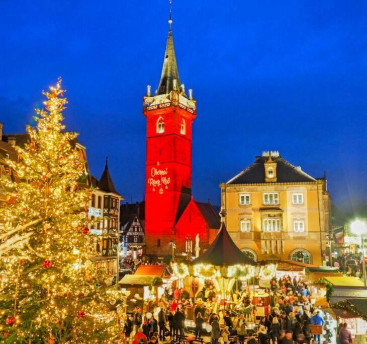 L'Appar'T - Centre Historique De Obernai Apartment ภายนอก รูปภาพ