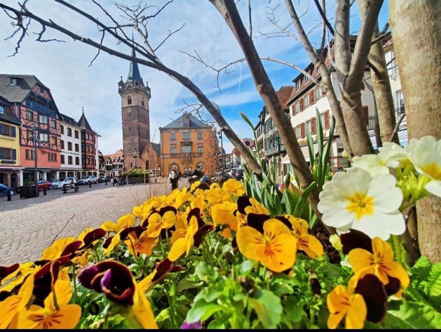 L'Appar'T - Centre Historique De Obernai Apartment ภายนอก รูปภาพ