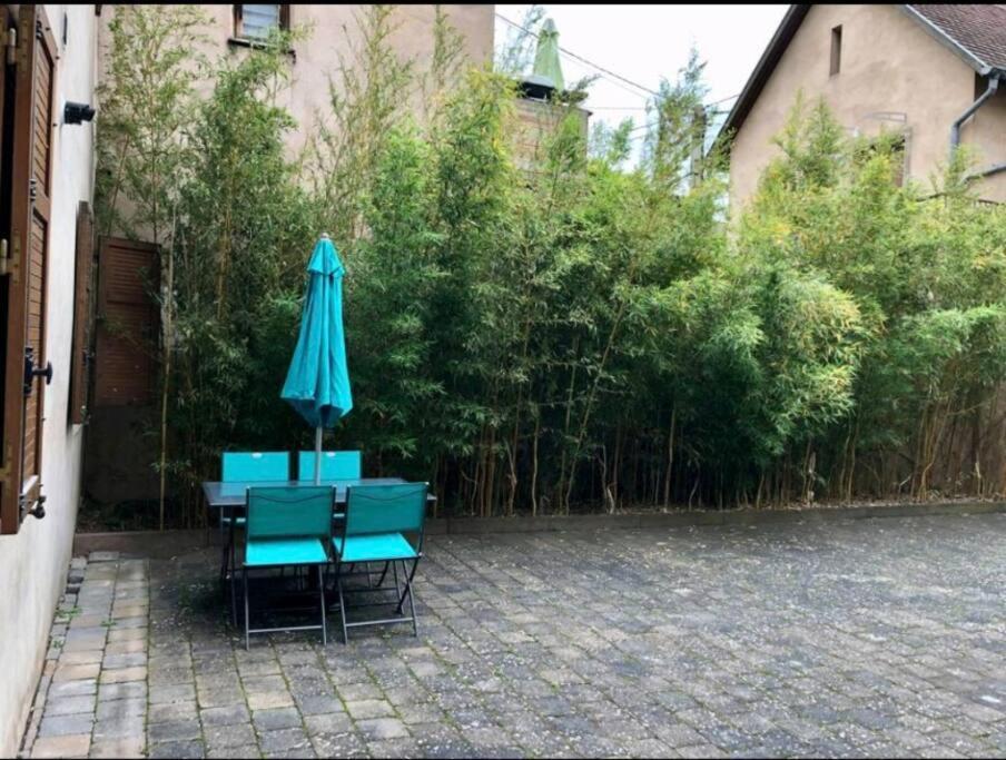 L'Appar'T - Centre Historique De Obernai Apartment ภายนอก รูปภาพ