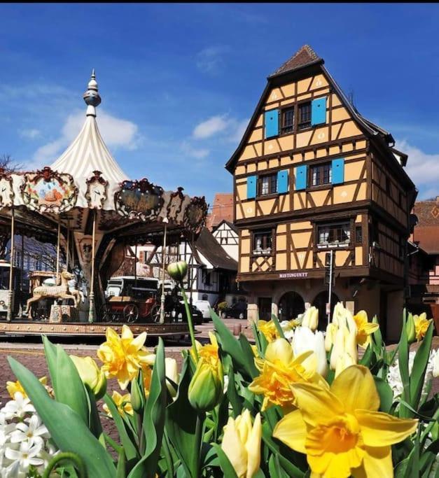 L'Appar'T - Centre Historique De Obernai Apartment ภายนอก รูปภาพ