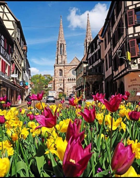 L'Appar'T - Centre Historique De Obernai Apartment ภายนอก รูปภาพ